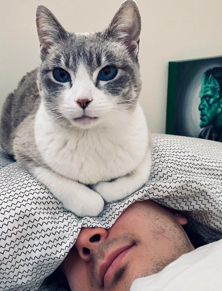 694f6250478ff3d575a2049045