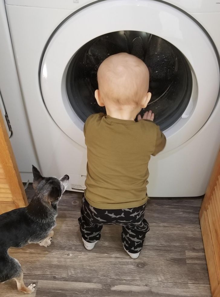 6953645fe8a4a6cefec69f2366