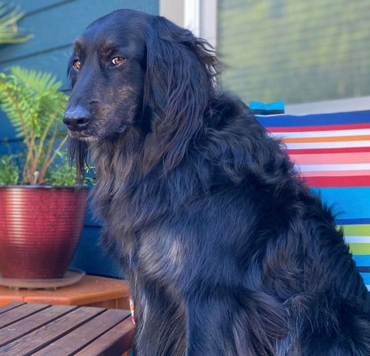 6953905bb5a2aa20c022704008