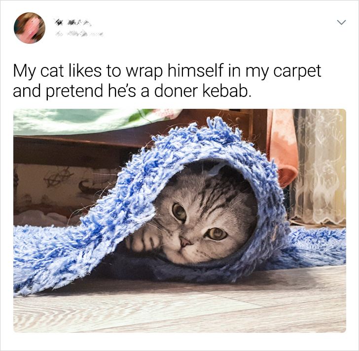 69545b5dd6811e6af14f63b299