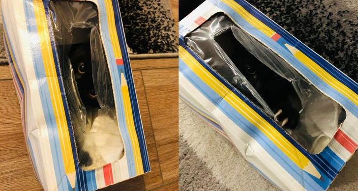 695ca9546295601bdb925b08d1