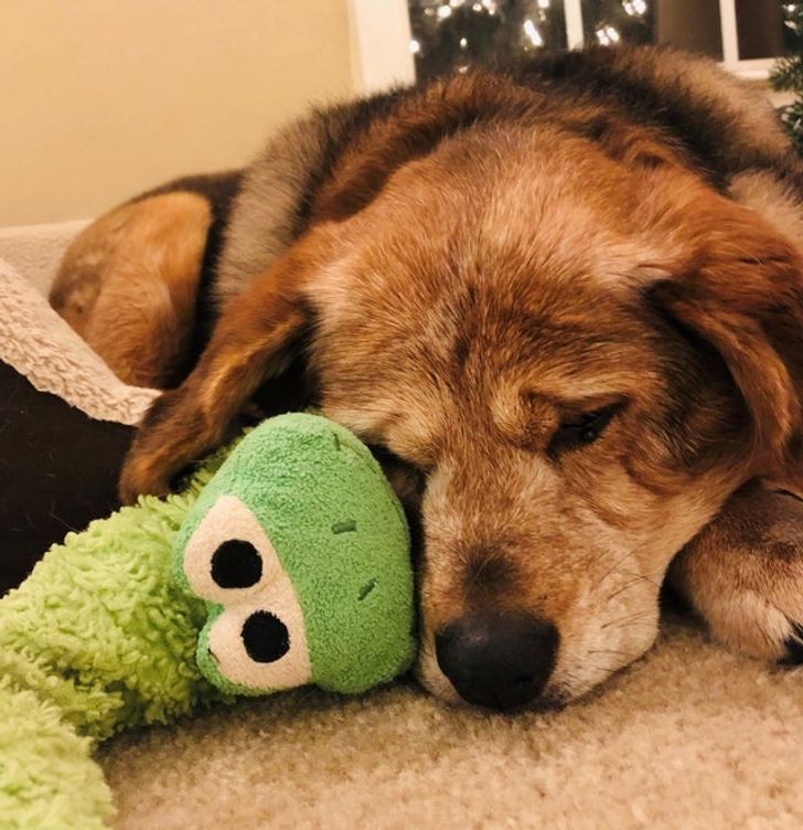 6977225a1cbab0f76e72221f5a