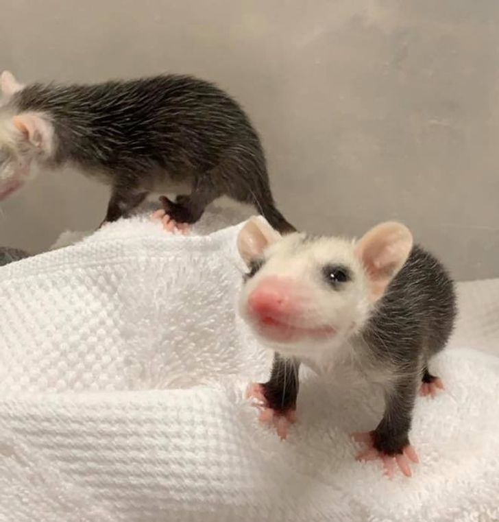 697791592cb857c22e7e980776