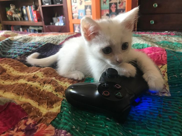 6978a959e8a7ca6ace0b151807