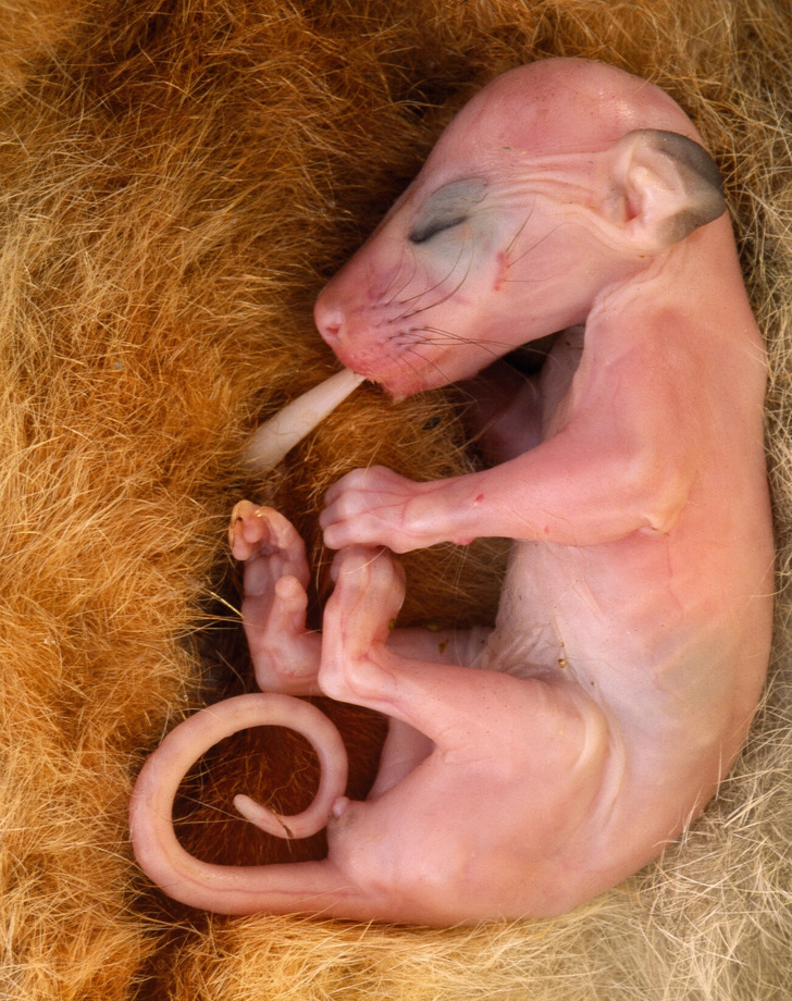 69832853cf80a4137dee7aeae8