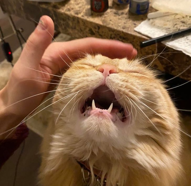 69868153b586b38b0f4dcc38eb