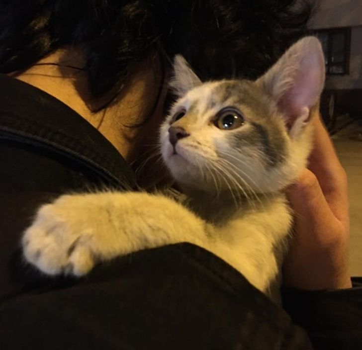 6986a55bafa8083b6b17f1eabf