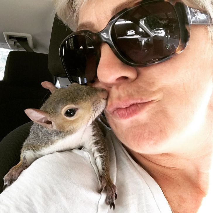 698be95a37817990ffd6433434