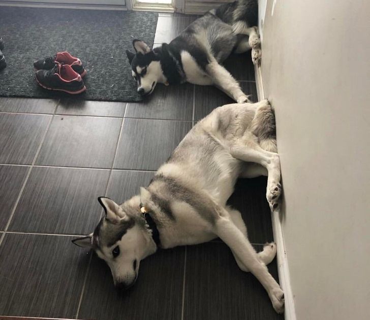 698d2c55e4a44e5831d8c35023