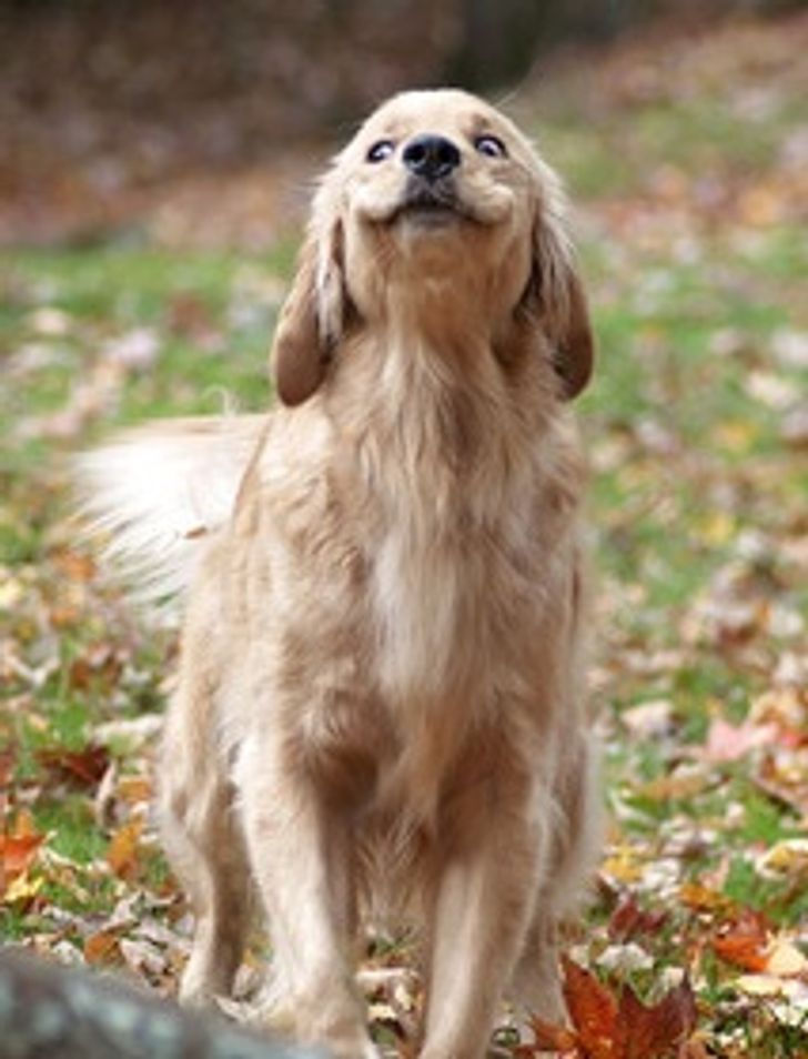 69922c526a917a02bac298addb