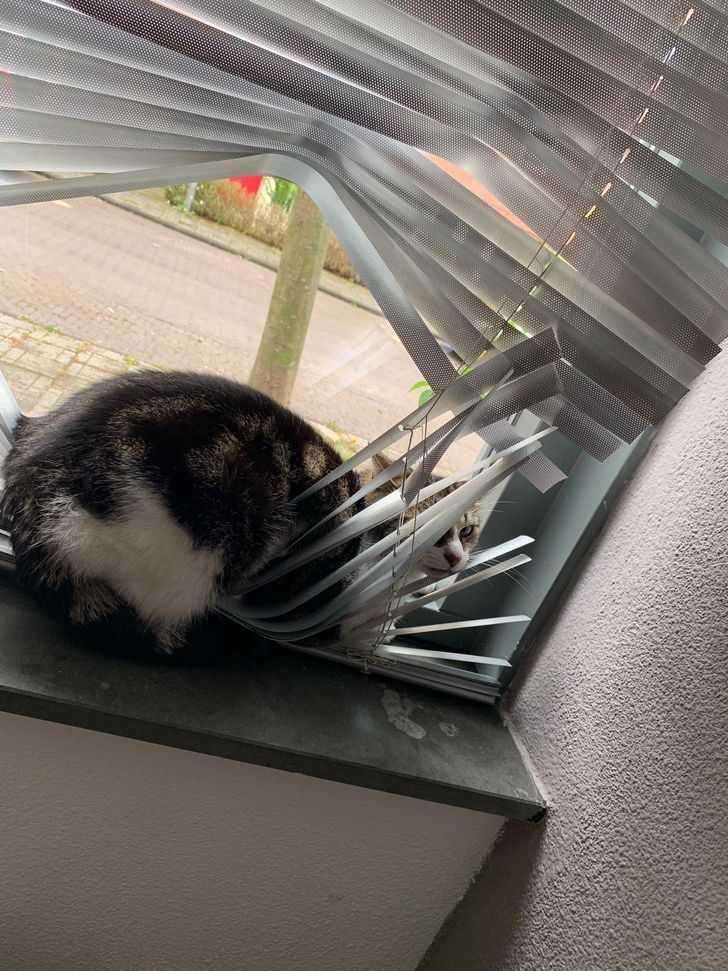 69999f5171b6657dc17bedde3b