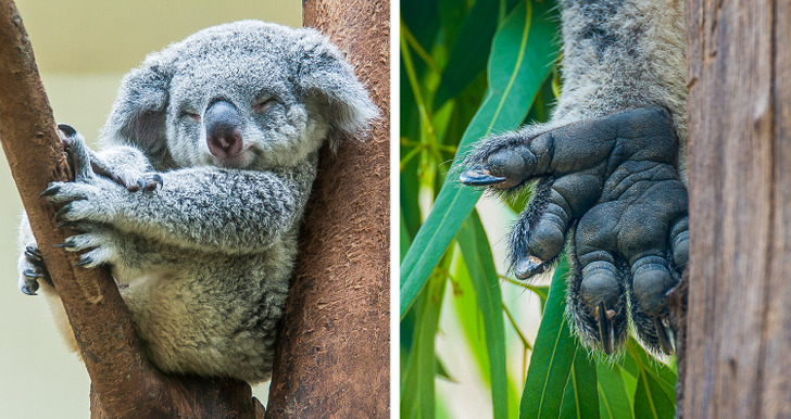 699be35539b2cea09b76aff863