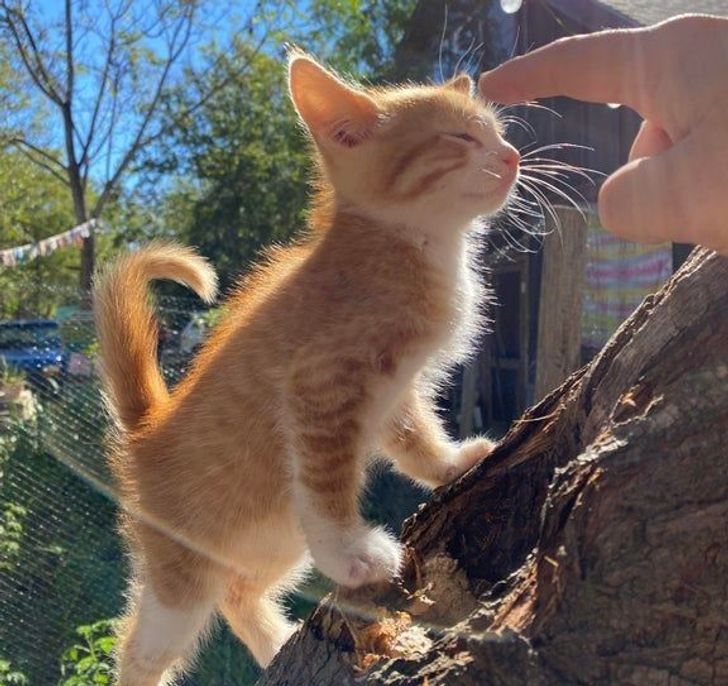 699c8357e7985ab7b63079d037