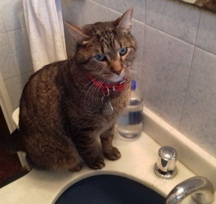 69b5df5e3ea34d8c2633ac5149