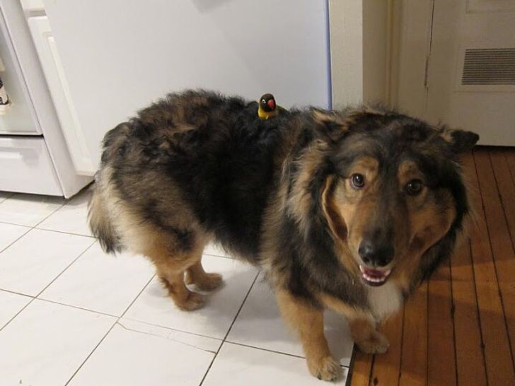 69bc005aa681d59b67cdb65d16