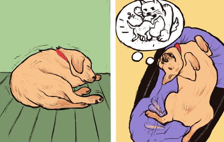 69bd295d03821da7f441850053