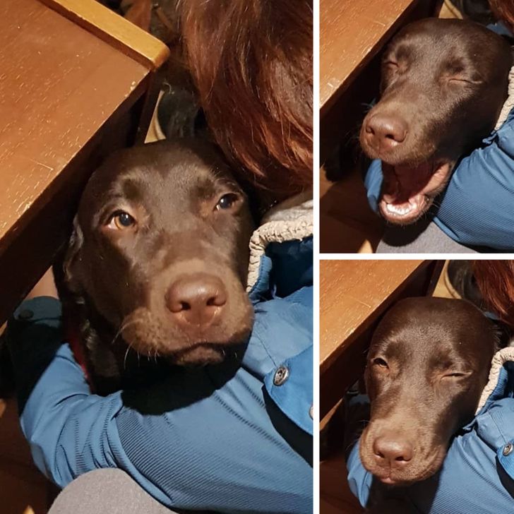 69c1895e28ada245019f50416f 69c1895e28ada245019f50416f