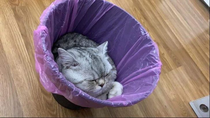 69c6e55d339739a0ab3410051b