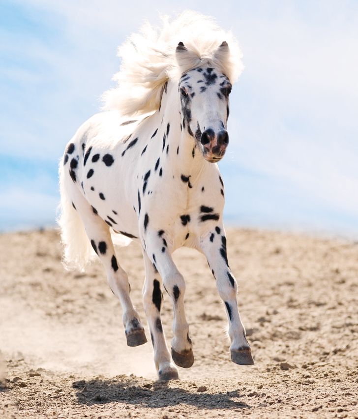 69ccff5baab0b756f5e59df438