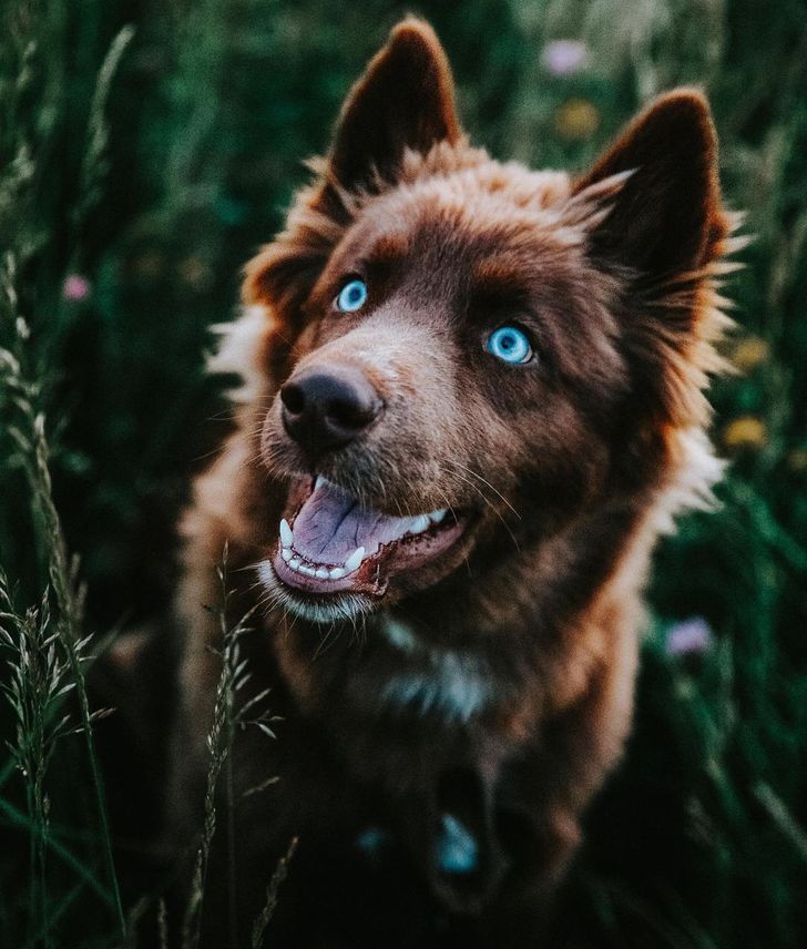 69cf5b54cba4d8334ad24d34b9