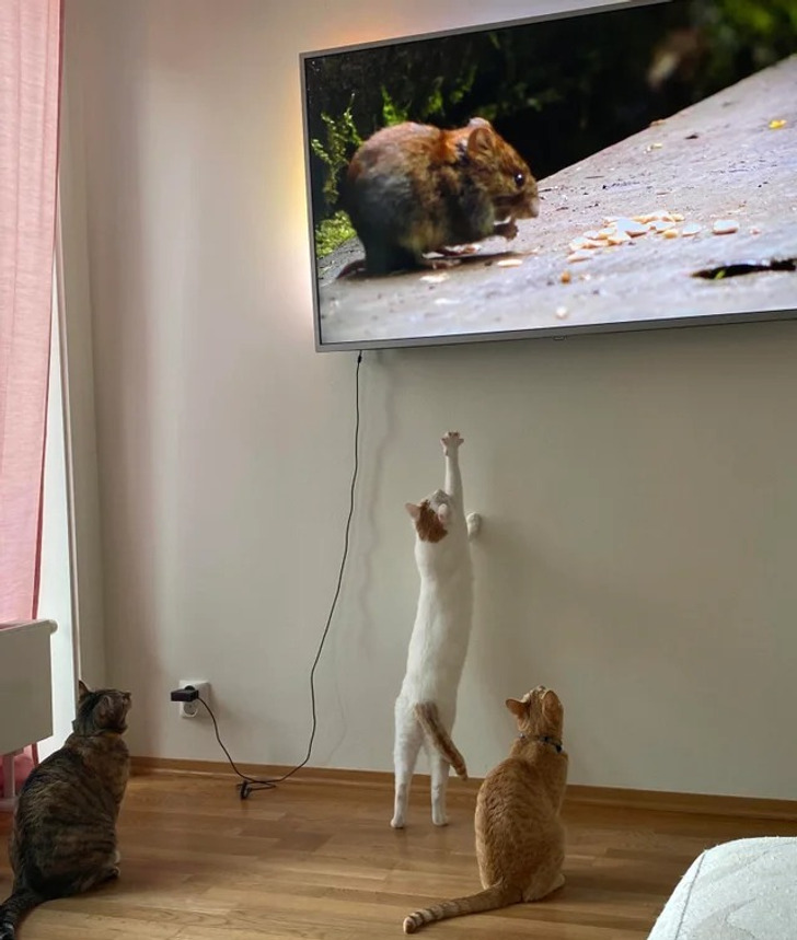 69d6eb56768d83eedbd5effbac