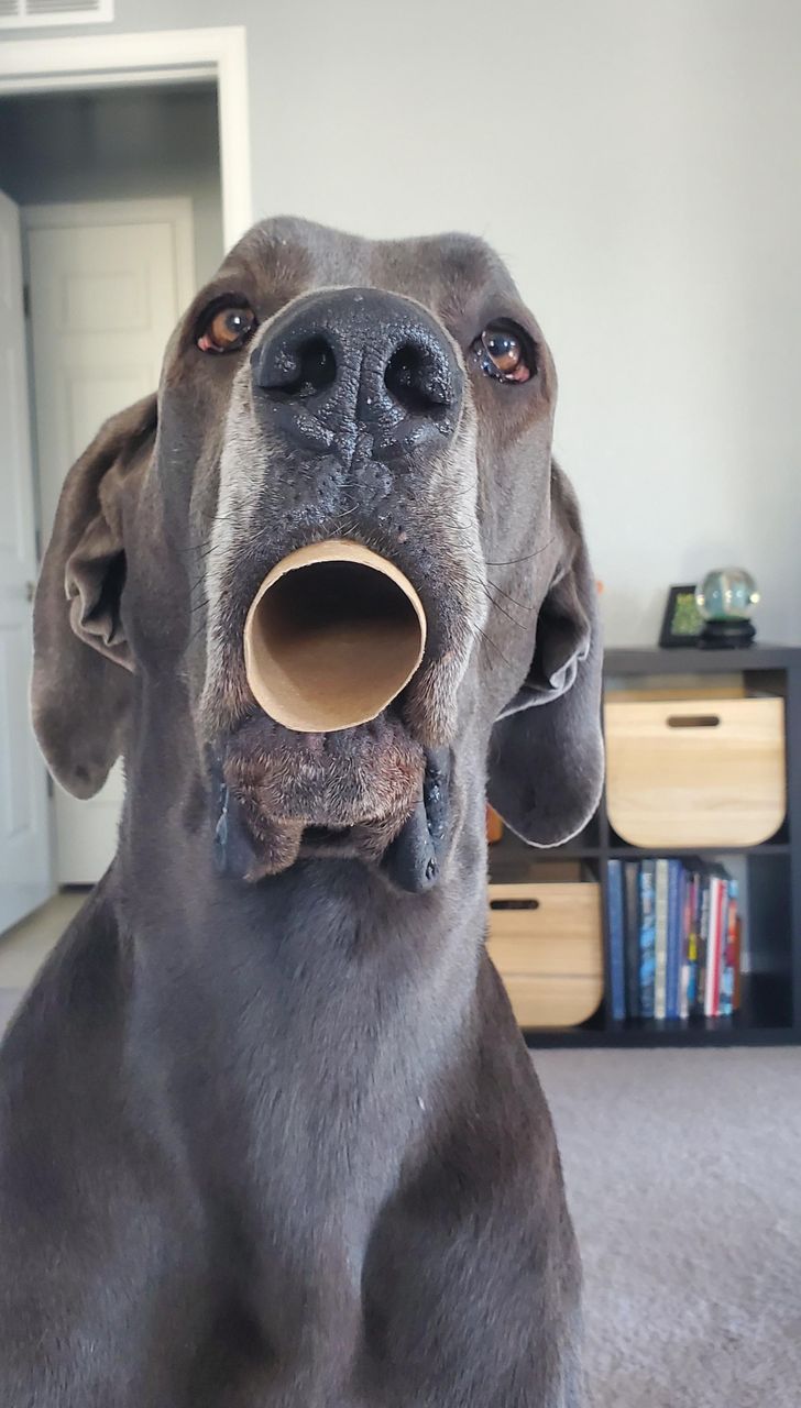 69d9bf5573a5184c207a327dde