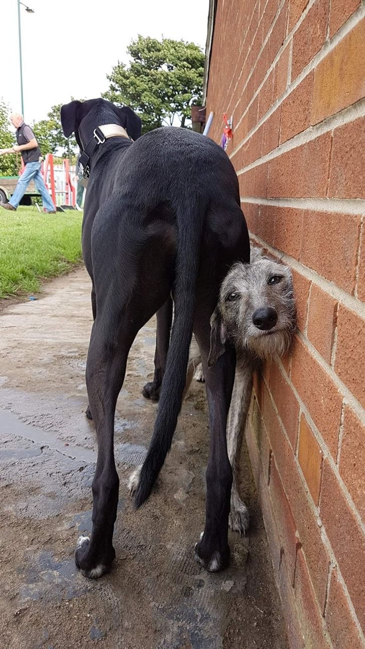 69ea135df7a7f3d19ef2acb200