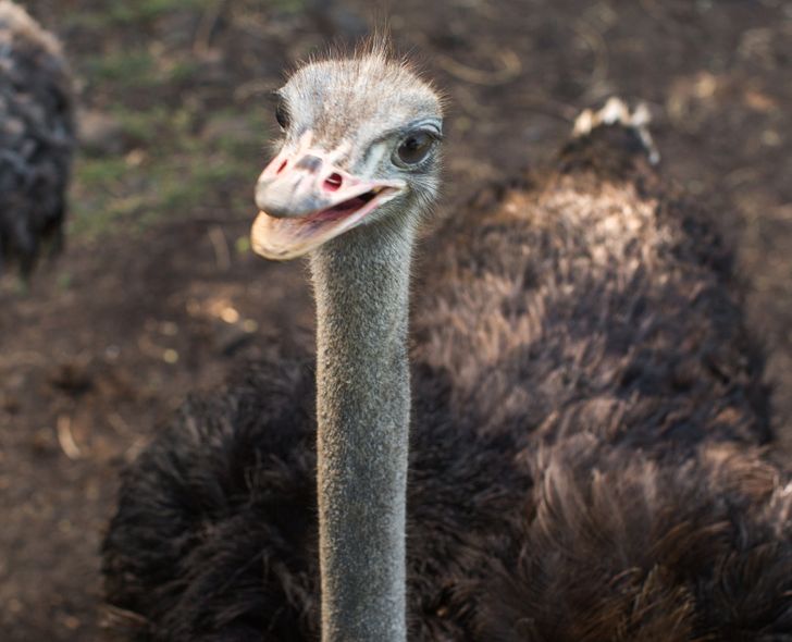 69eeb95d7f907a0a4c03b79bcb