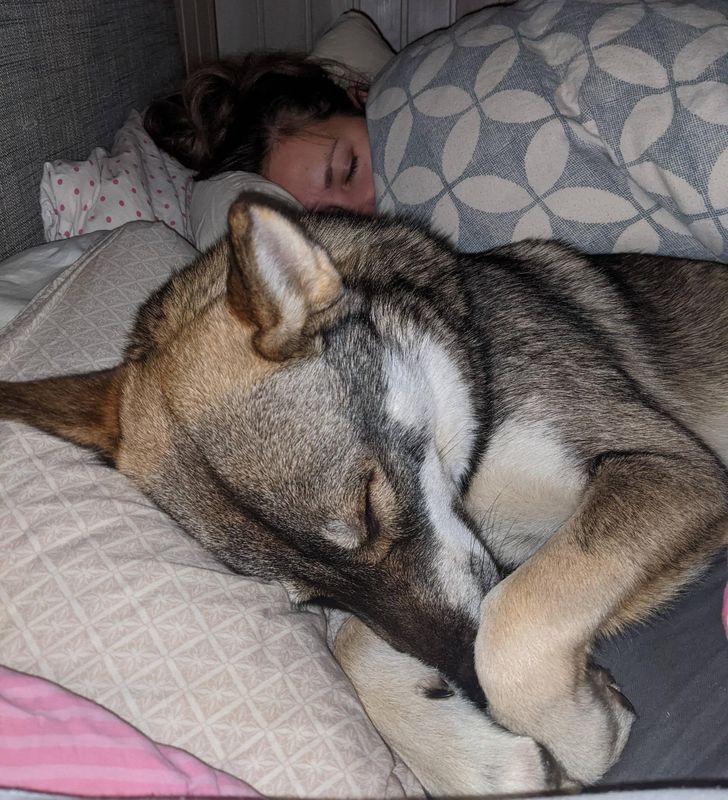 69f50057f1bec3041bedd22b2d