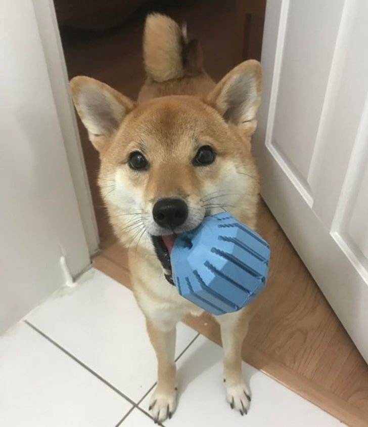 69f869573cbfa67d9b52923d9a