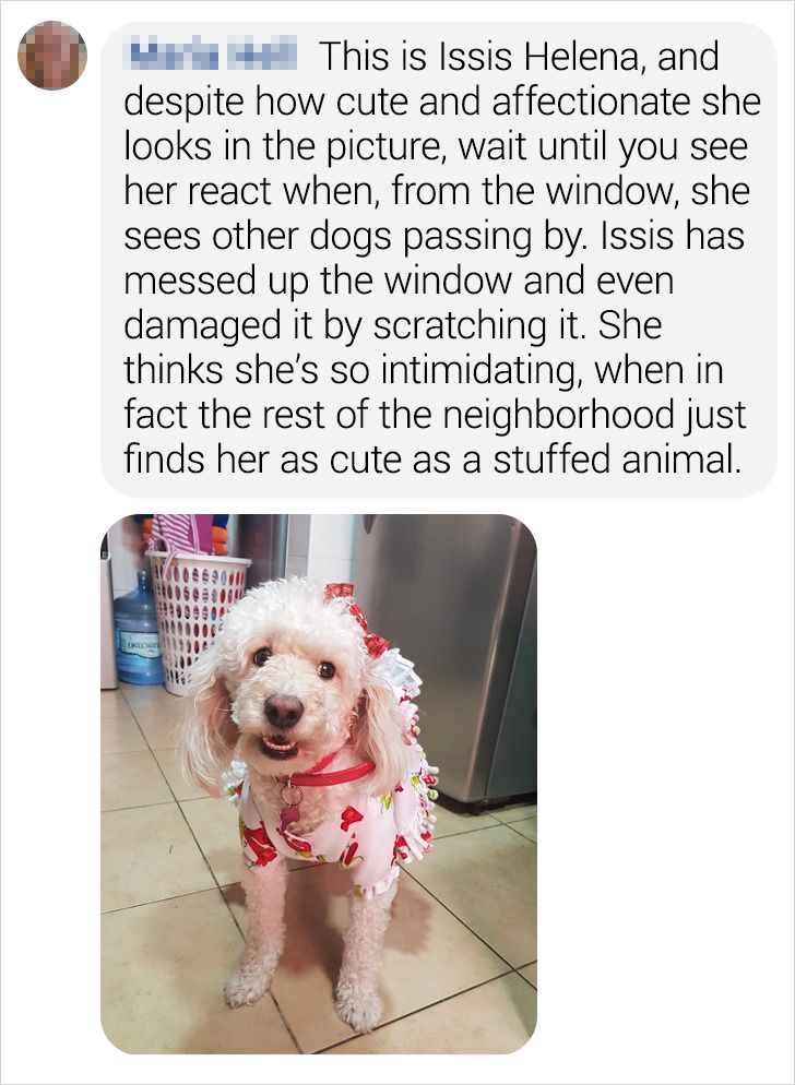 6a02535c6a8f29a3a26b1ed825