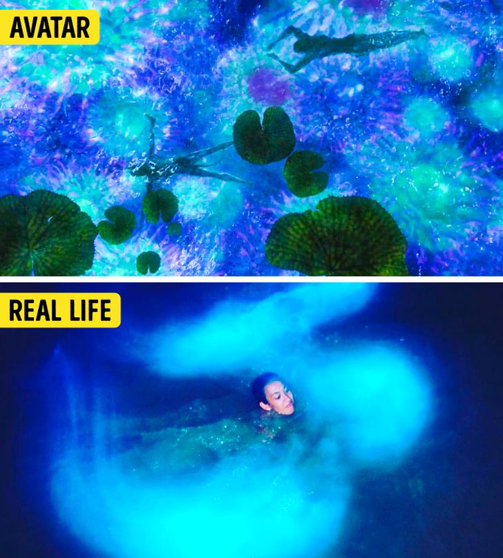 6a0ae851f6908fc65b413c750f