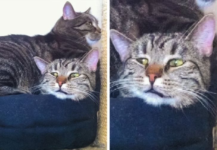 6a0c8253faa11996c8e34aebe8