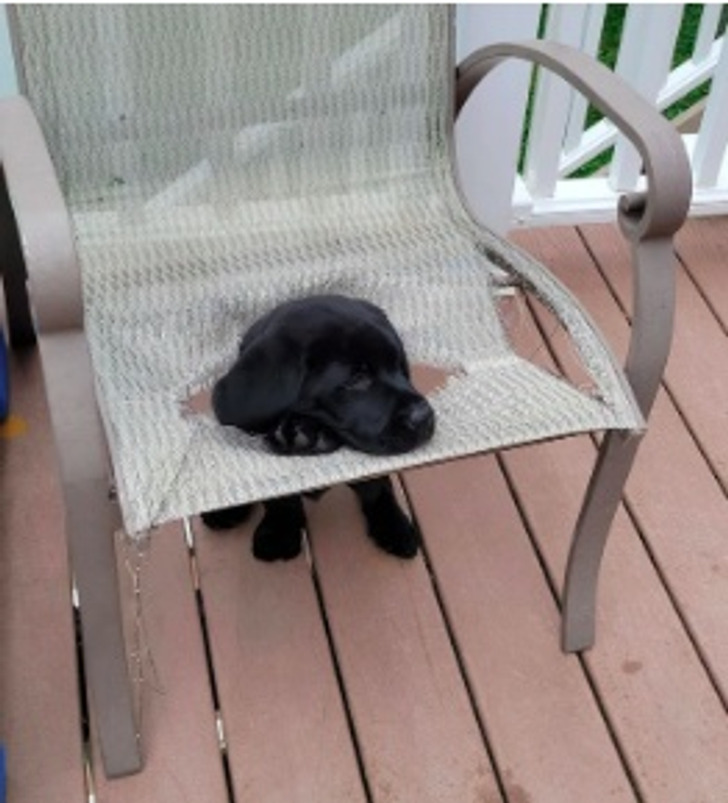 6a0e8e58929dd3a57f30db919d 6a0e8e58929dd3a57f30db919d