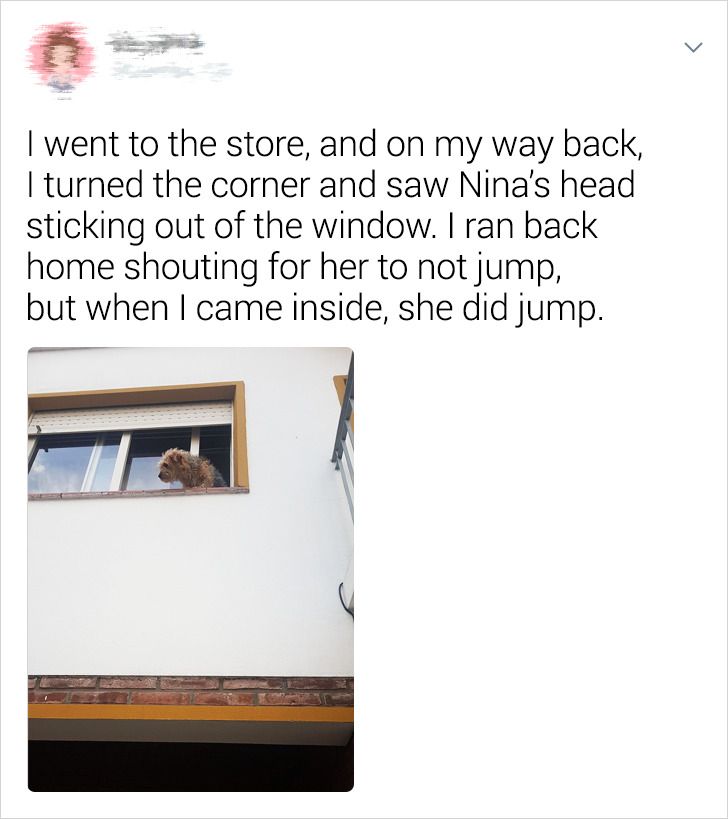 6a0fa5516da89f8f4acb5ef95e