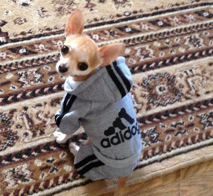 6a10505075b6e6edbb713bd1ef