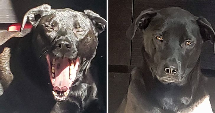 6a11f95d37a327583a163b1935