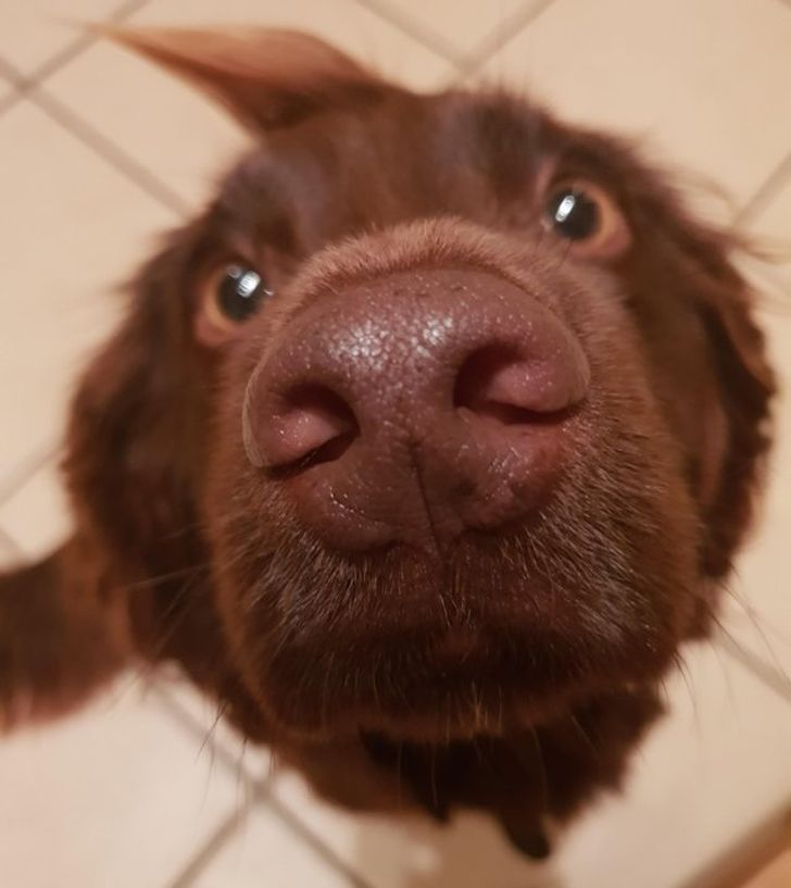 6a15795c3d93ebb92838112624