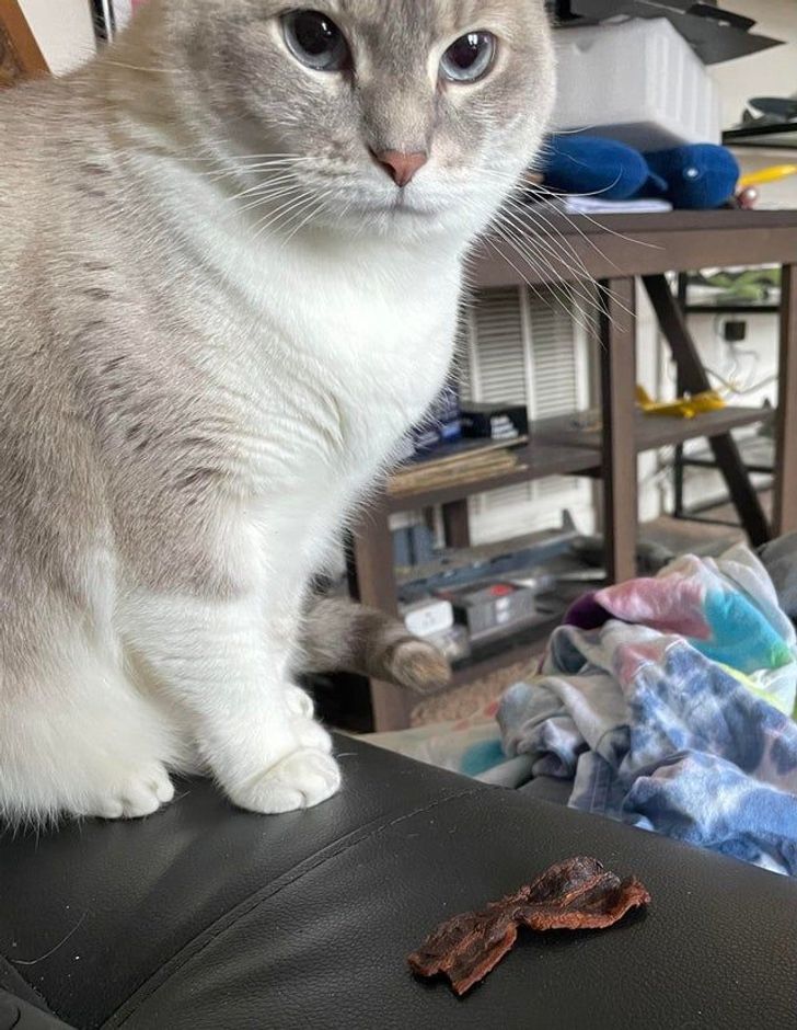 6a19175855a8e17f0bef09857e