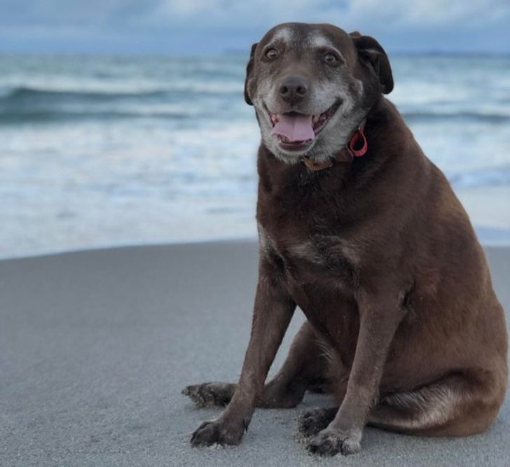 6a1b865f4397e39f78187be92f