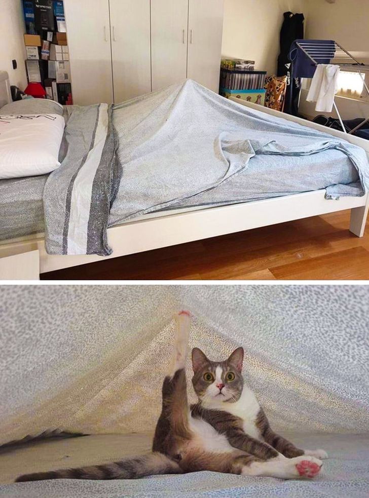 6a3468571a99dec910563a6d61