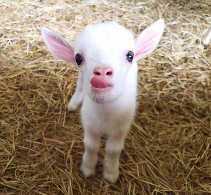 6a35a655adbf41db8a9fa24971