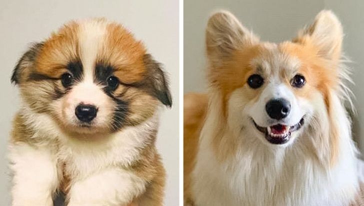 6a35ba544a8398501188c0f0f4