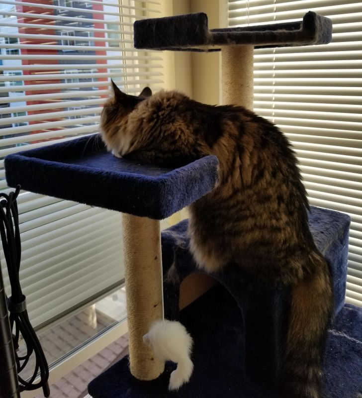 6a366d5008a0bf4bb0d12c0911