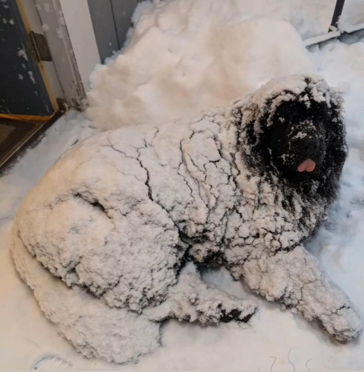 6a437d56b1a1299f7cbb339f76