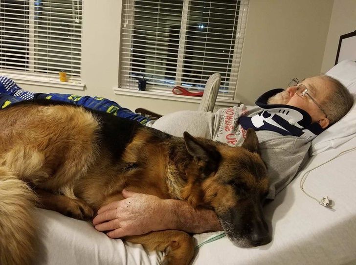 6a448b5ed18070d3e101802799