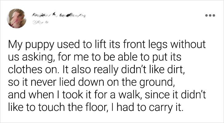 6a49a752b6b7cb8858aee7ad3c