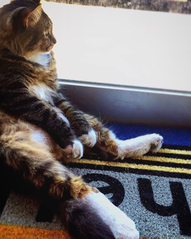 6a49b85935a158e9f10bec98ab