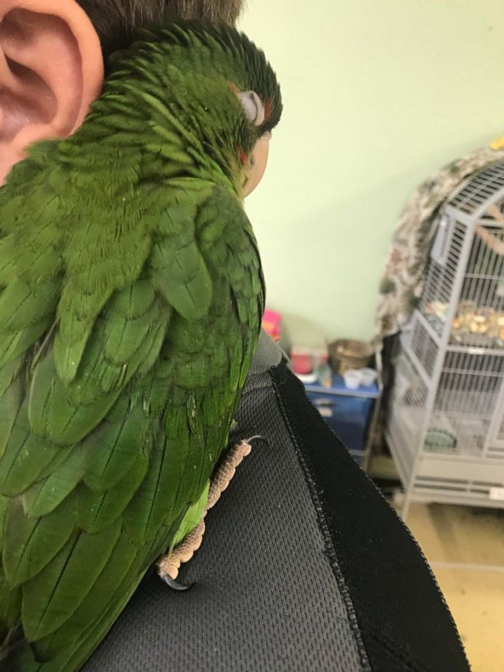 6a4b625083bb38f7a2ecaabf39