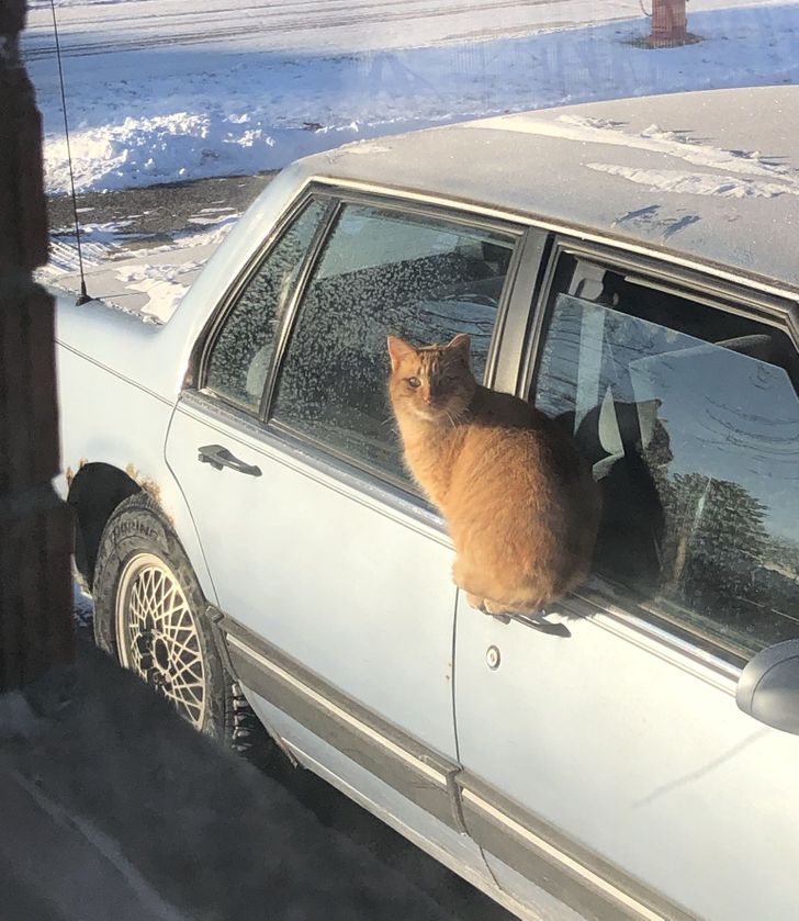 6a4c525e6e8dd6901f304a8251